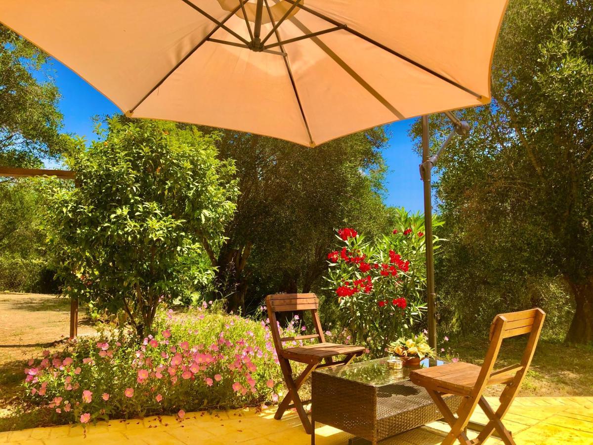 Armonia Corfu Luxury Apartment Liapades Luaran gambar